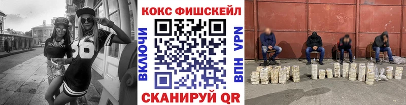 Купить закладки  Сургут  COCAIN Fish Scale 