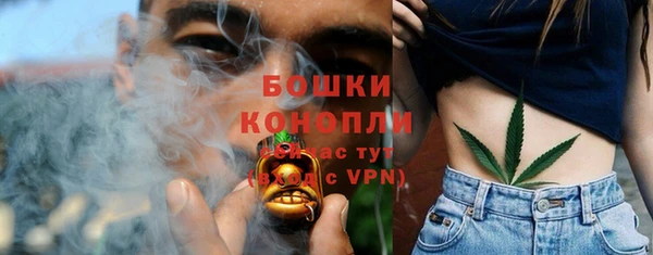 PSILOCYBIN Аркадак
