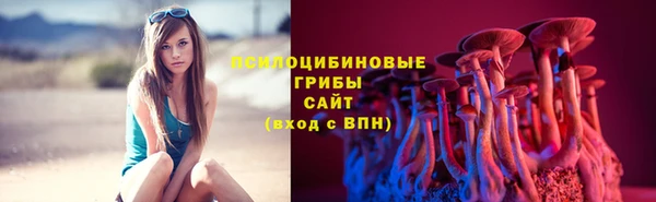 прущие грибы Арсеньев