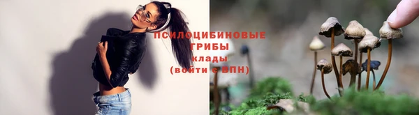винт Армянск