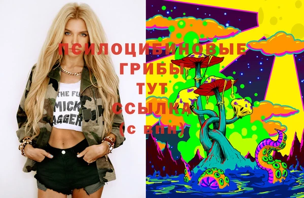 прущие грибы Арсеньев