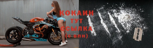прущие грибы Арсеньев