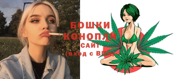 прущие грибы Арсеньев