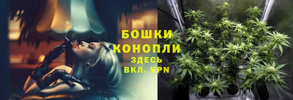 прущие грибы Арсеньев